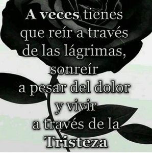 Meet your Posher, Velasquez